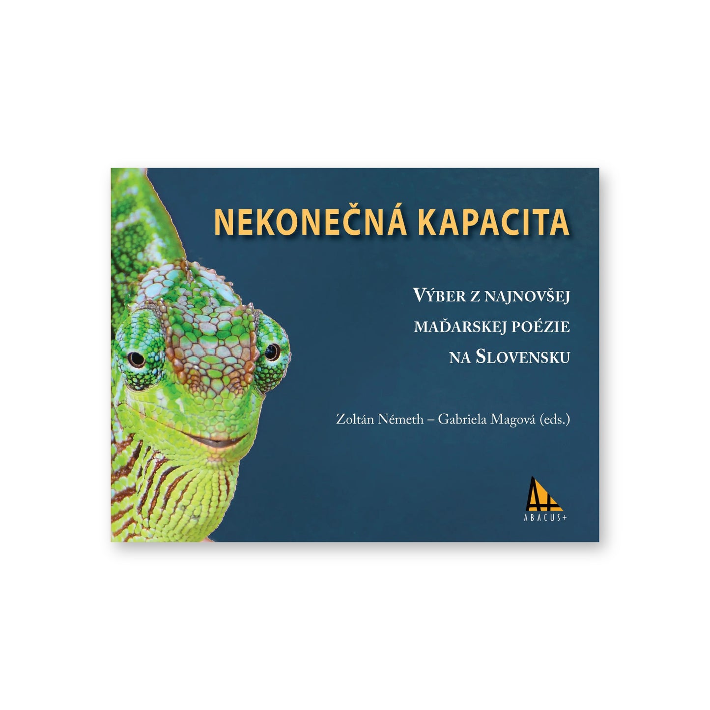 Nekonečná kapacita